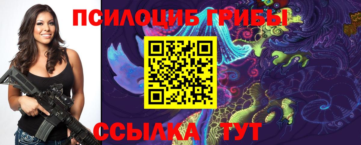 Тимашёвск  Галлюциногенные грибы мицелий  Вход с VPN  Галлюциногенные грибы ЛСД 